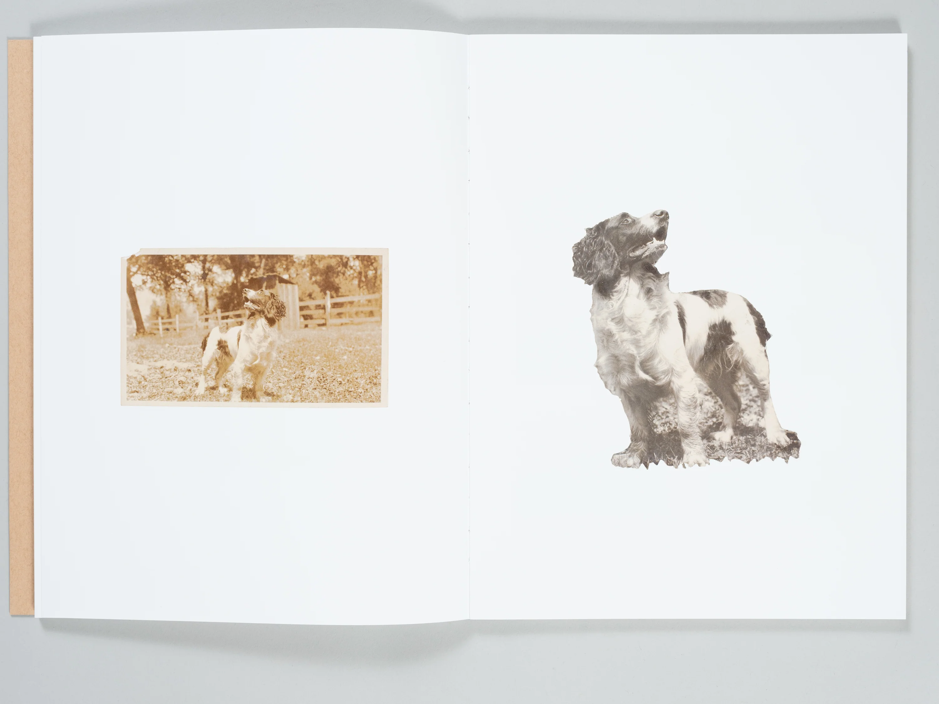 Yael Eban and Matthew Gamber - Dead Ringer - Image 9