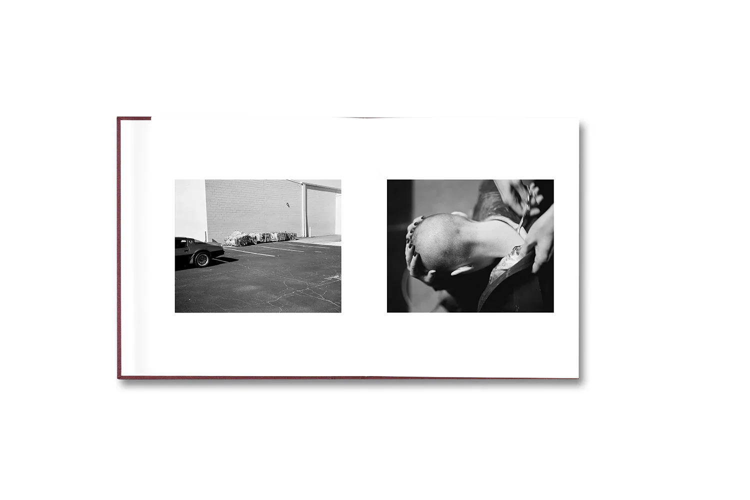 Pre-Order: Yorgos Lanthimos - VISCIN - Image 5
