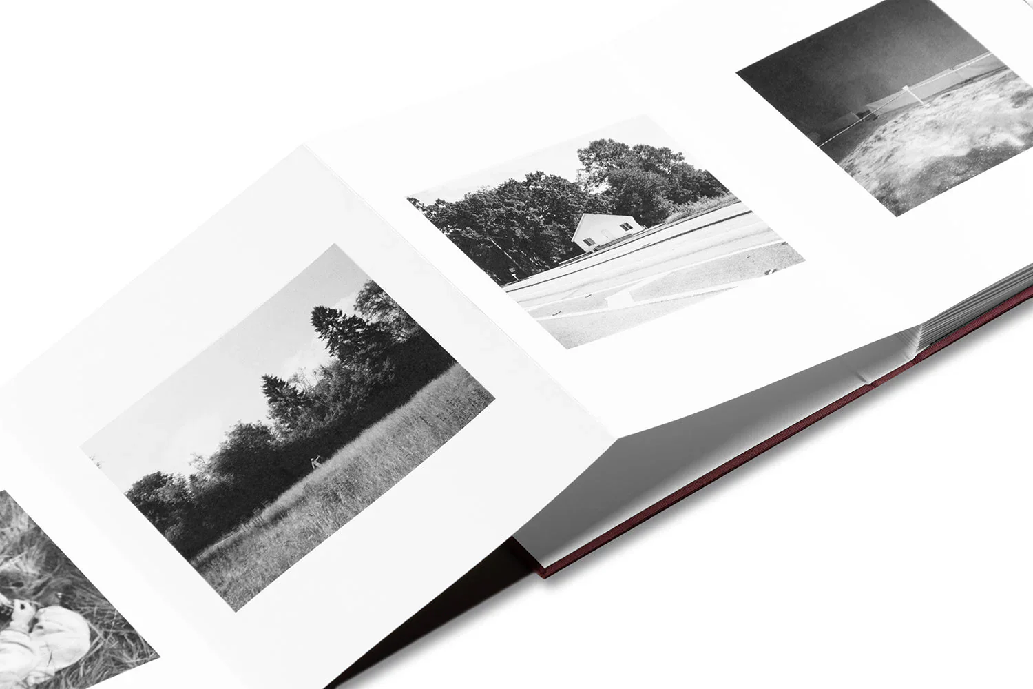 Pre-Order: Yorgos Lanthimos - VISCIN - Image 7