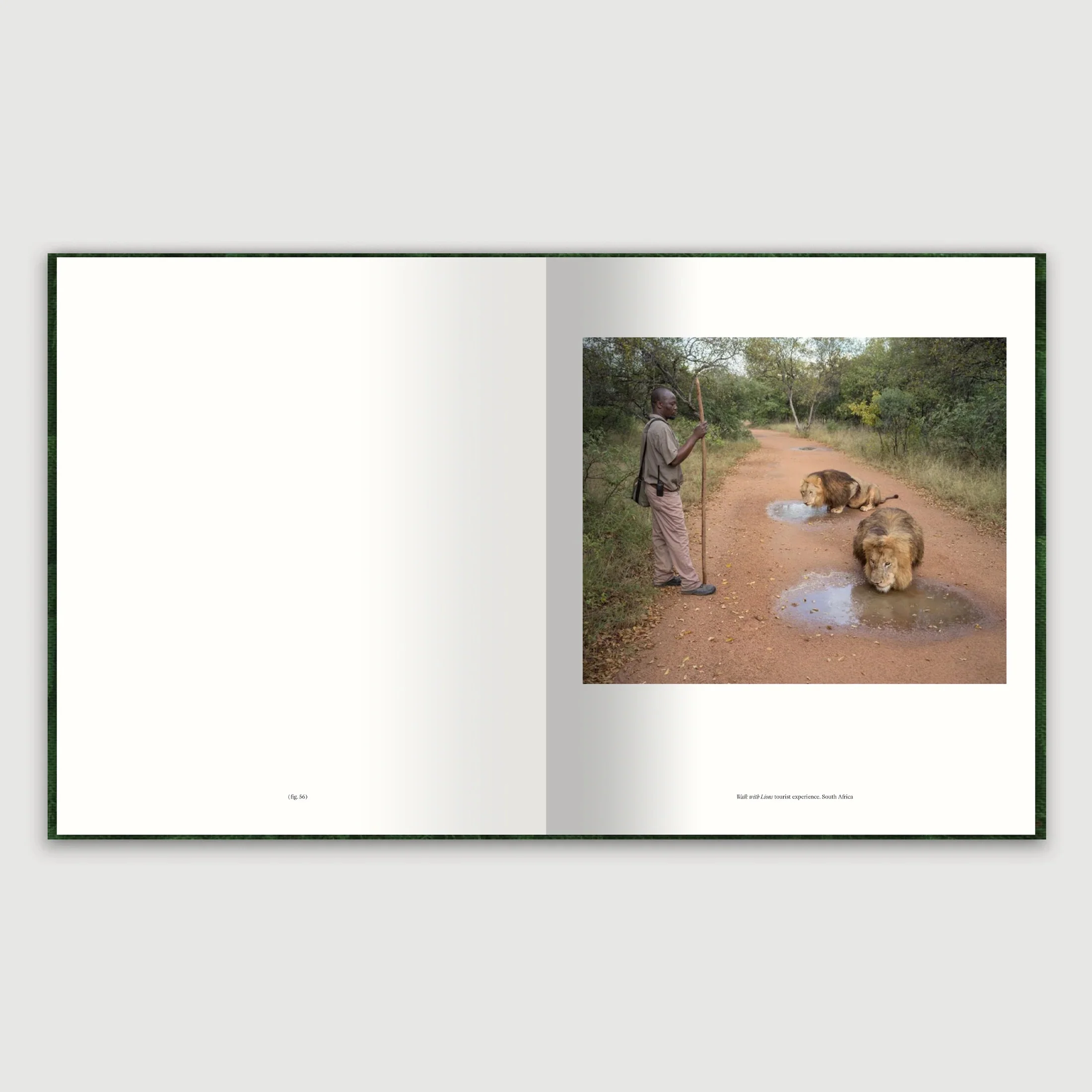 Zed Nelson - The Anthropocene Illusion - Image 10